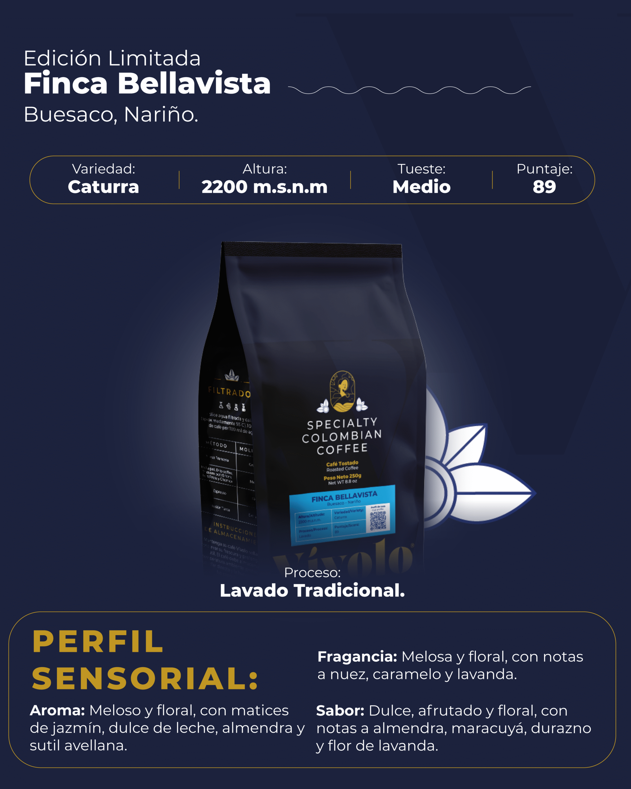 PIEZAS DE ESPECIALIDAD_BELLAVISTA