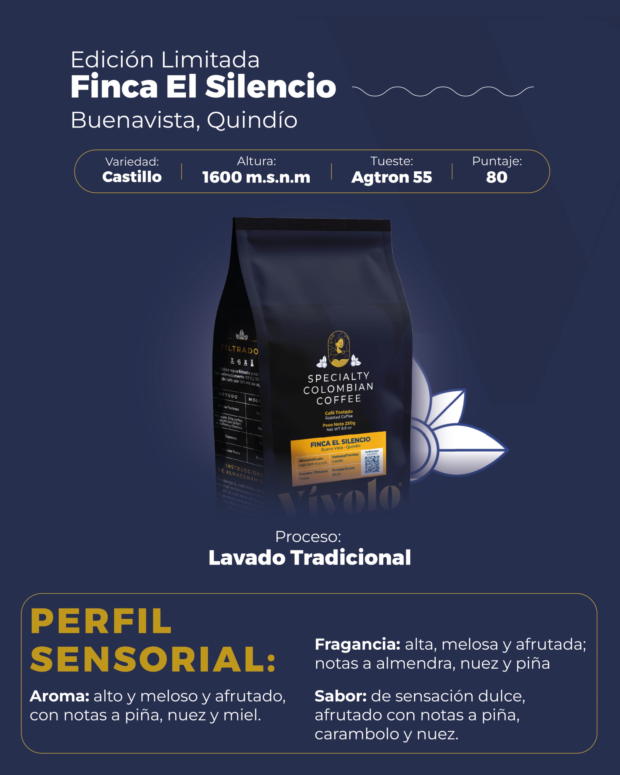 Perfil Castillo el Silencio