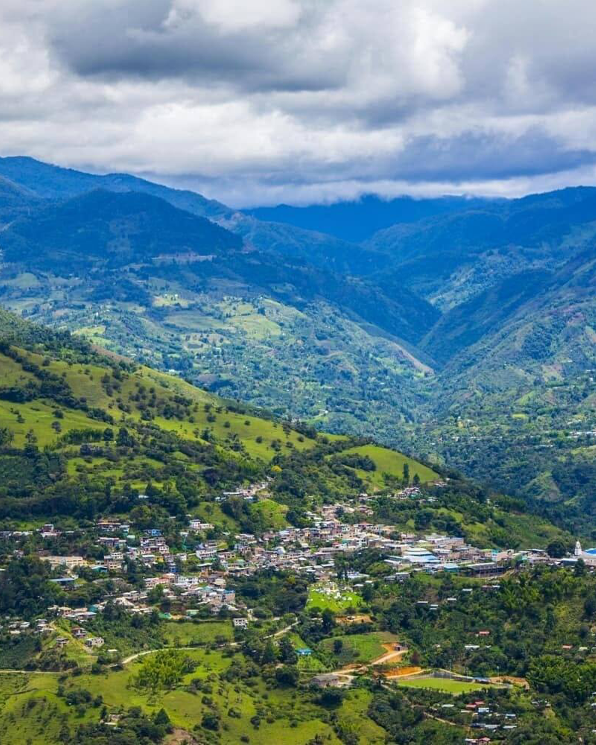 INZA-CAUCA-CAFÉ-VIVOLO