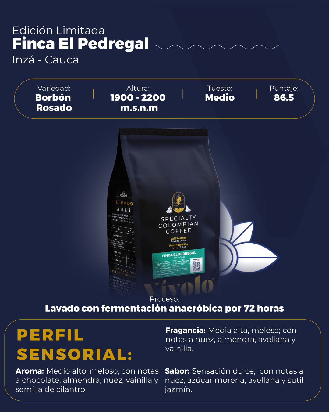 Perfil-#17--Borbón-Rosado