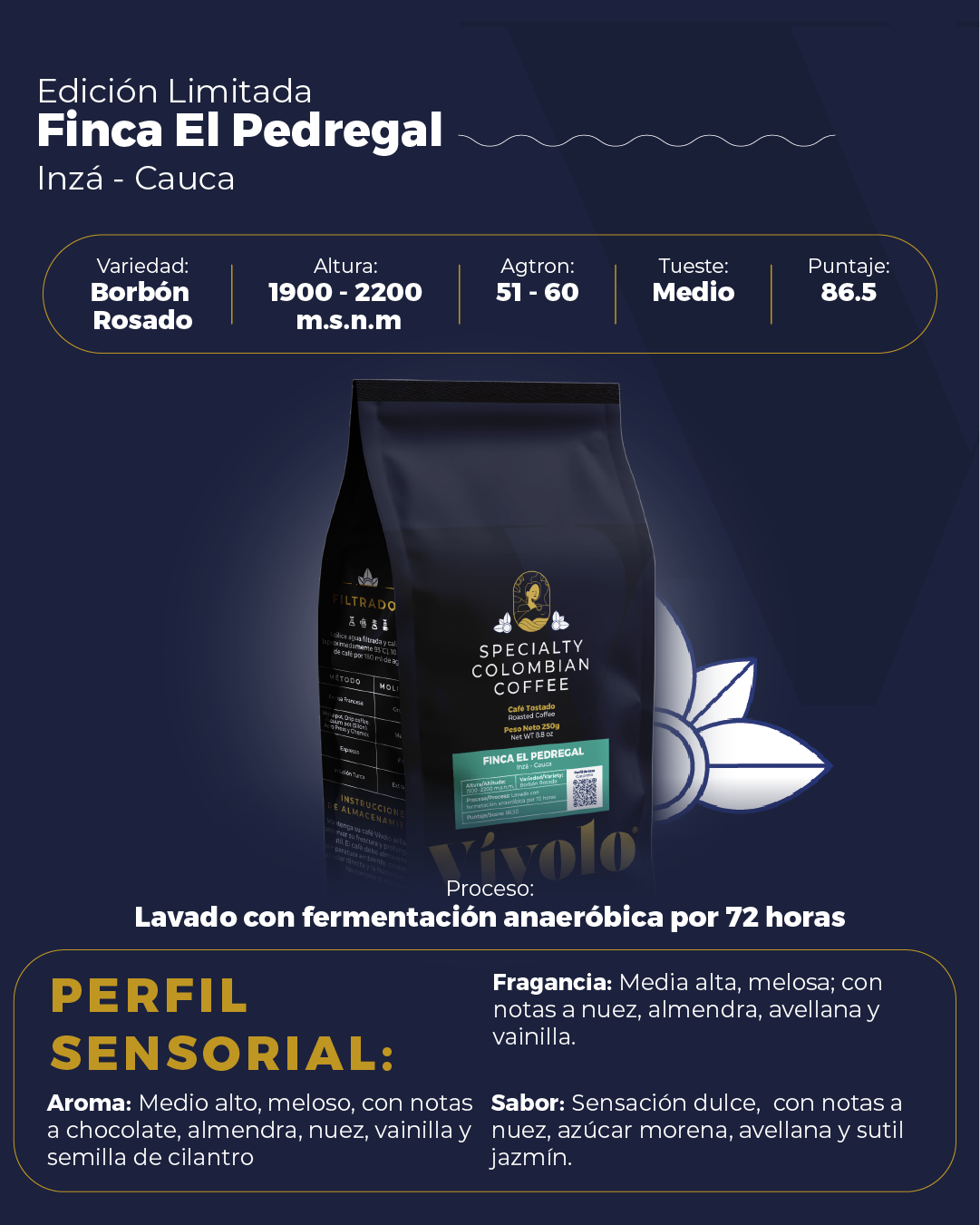 Perfiles #17 - Pieza informativa - Borbón Rosado