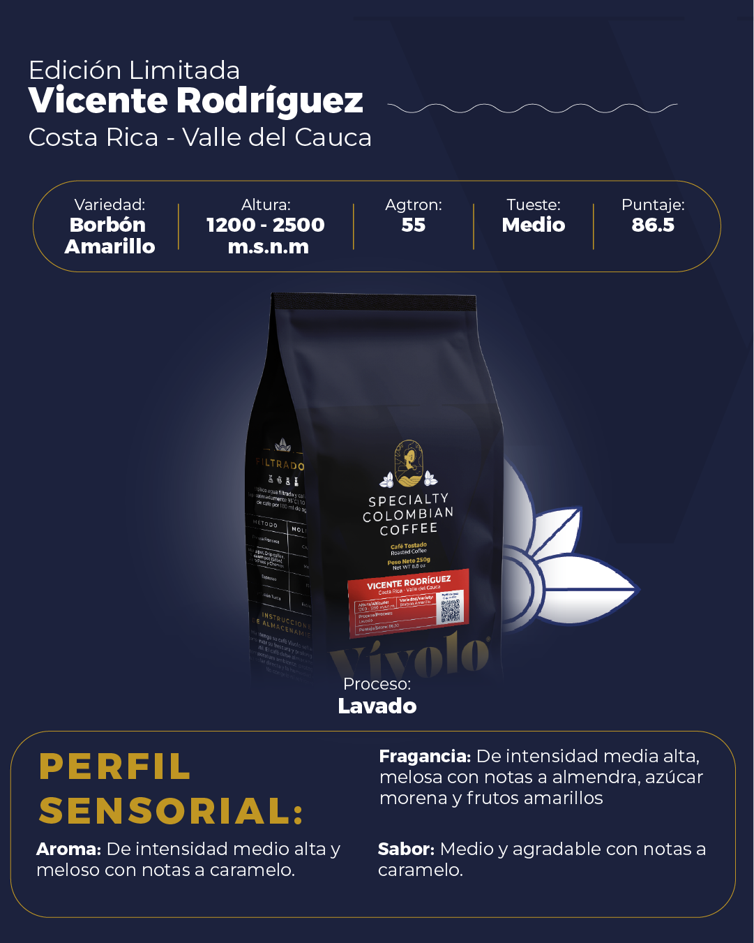 Perfil #18 Vivolo Specialty - Borbón Amarillo