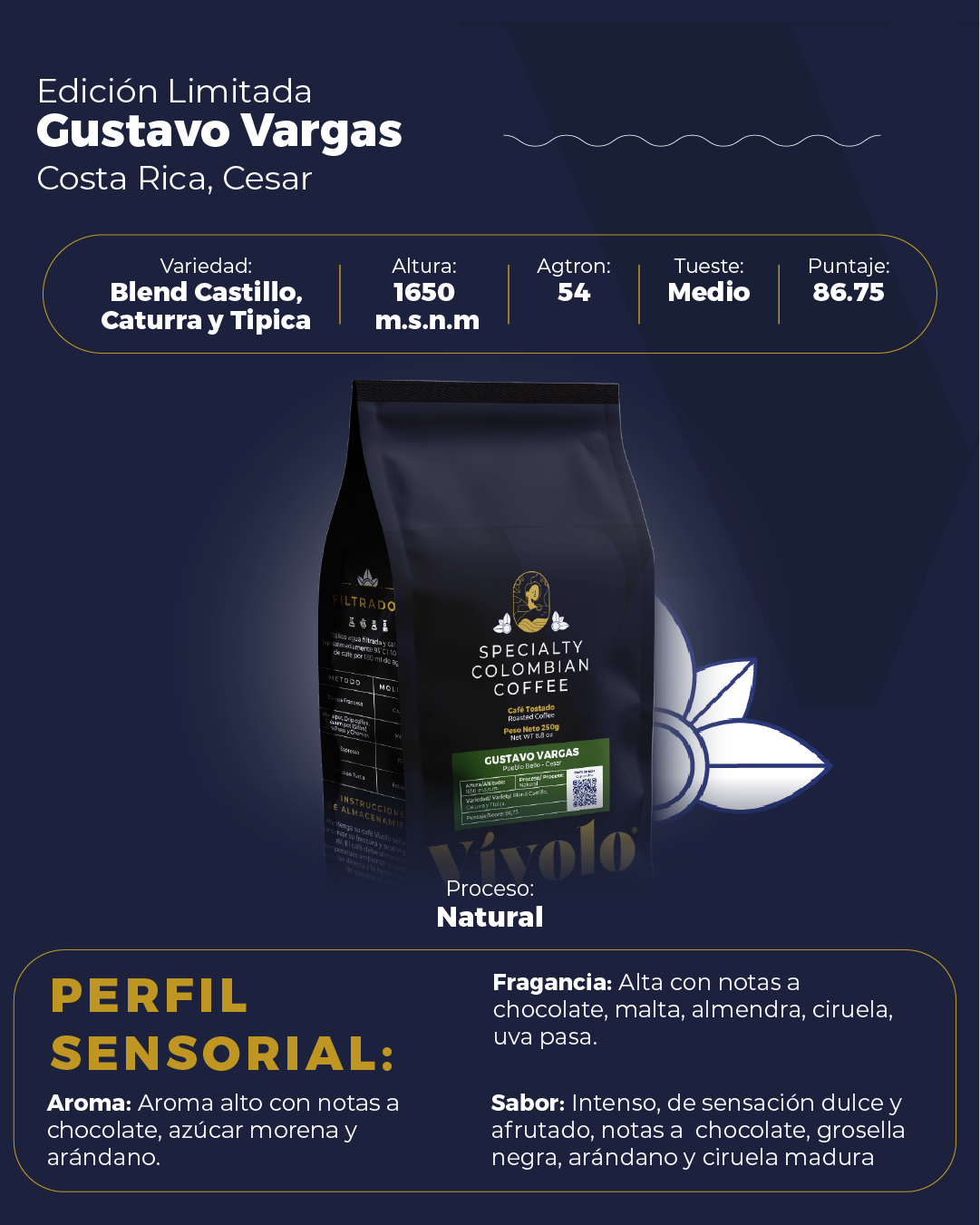Perfil #19 Vivolo Specialty - Blend