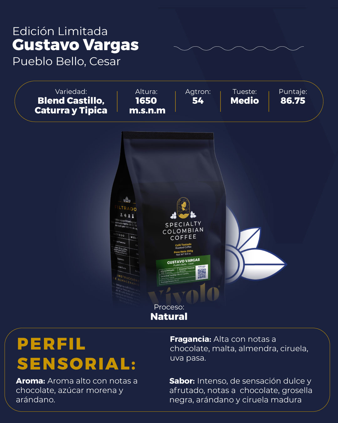 Perfil-#19-2-Vivolo-Specialty-Blend