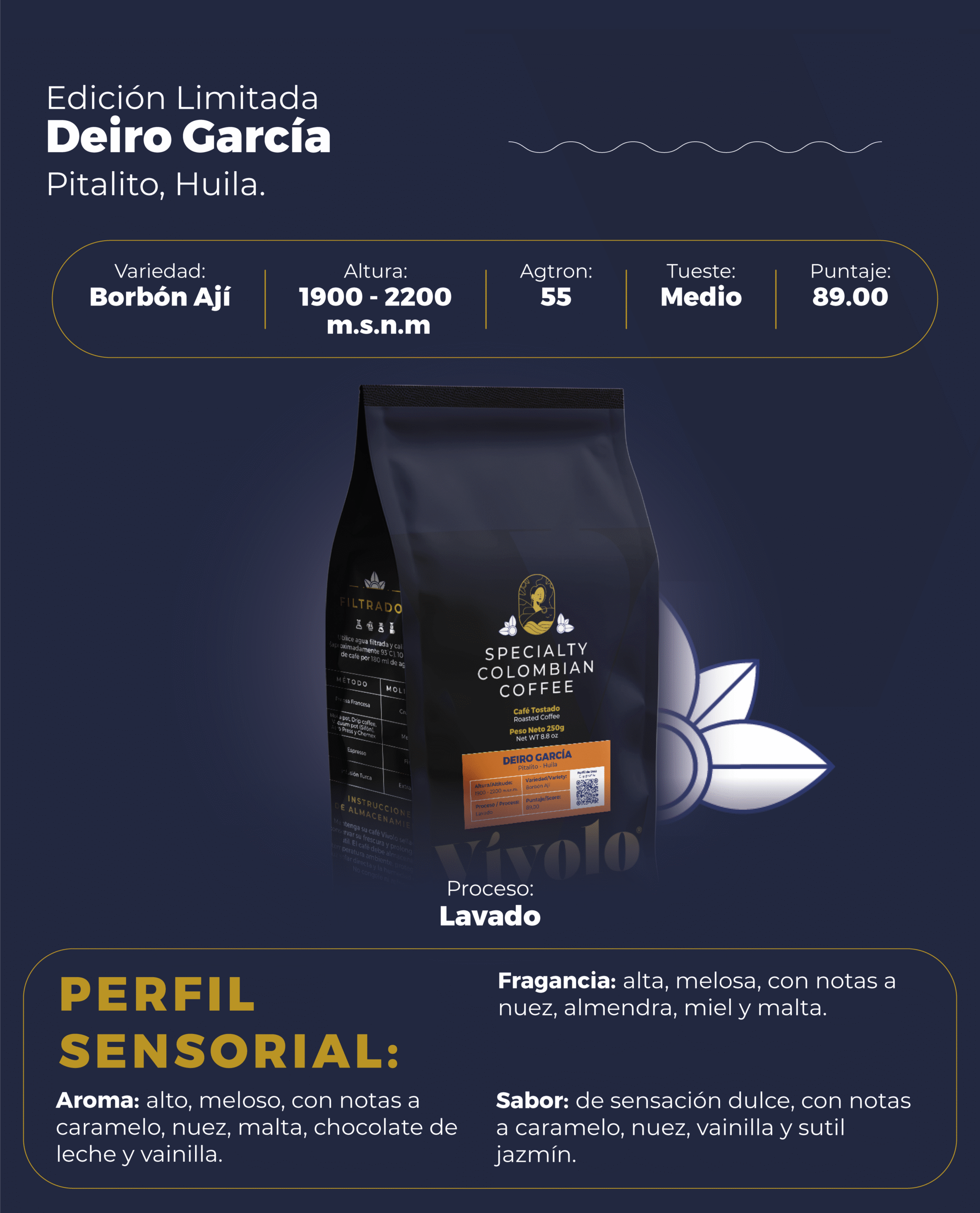 Piezas Graficas Perfil #20 Vivolo Special._PERFIL DESCRIPTIVO