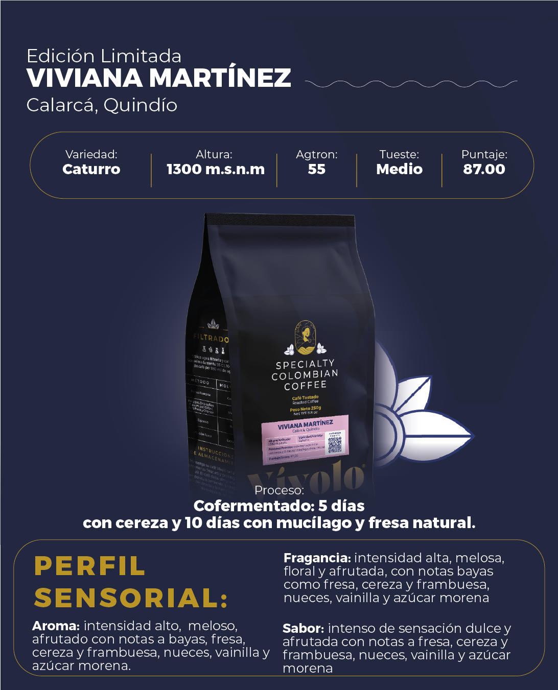 Piezas Graficas Perfil #21 Vivolo Special._PERFIL DESCRIPTIVO