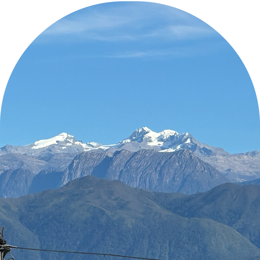 Img Web 3